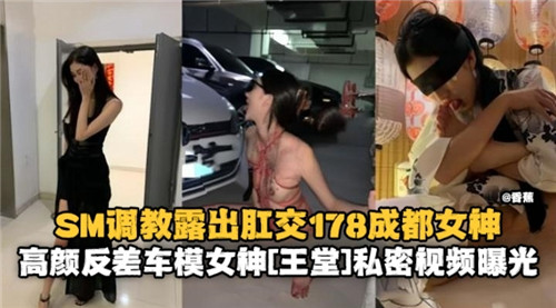 ZGL-864 SM调教露出肛交178成都女神高颜反差车模女神私密视频曝光