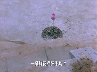 RSJ-659 玉蒲团之偷情宝鉴