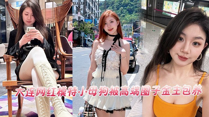 HLI-623 大连网红模特小母狗被高端圈子金主包养流出